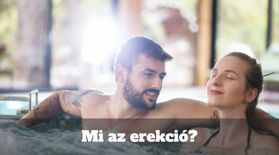 Mi az erekció?