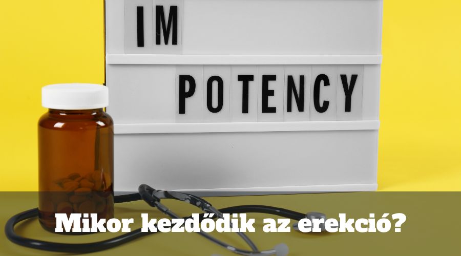 Mikor kezdődik az erekció?